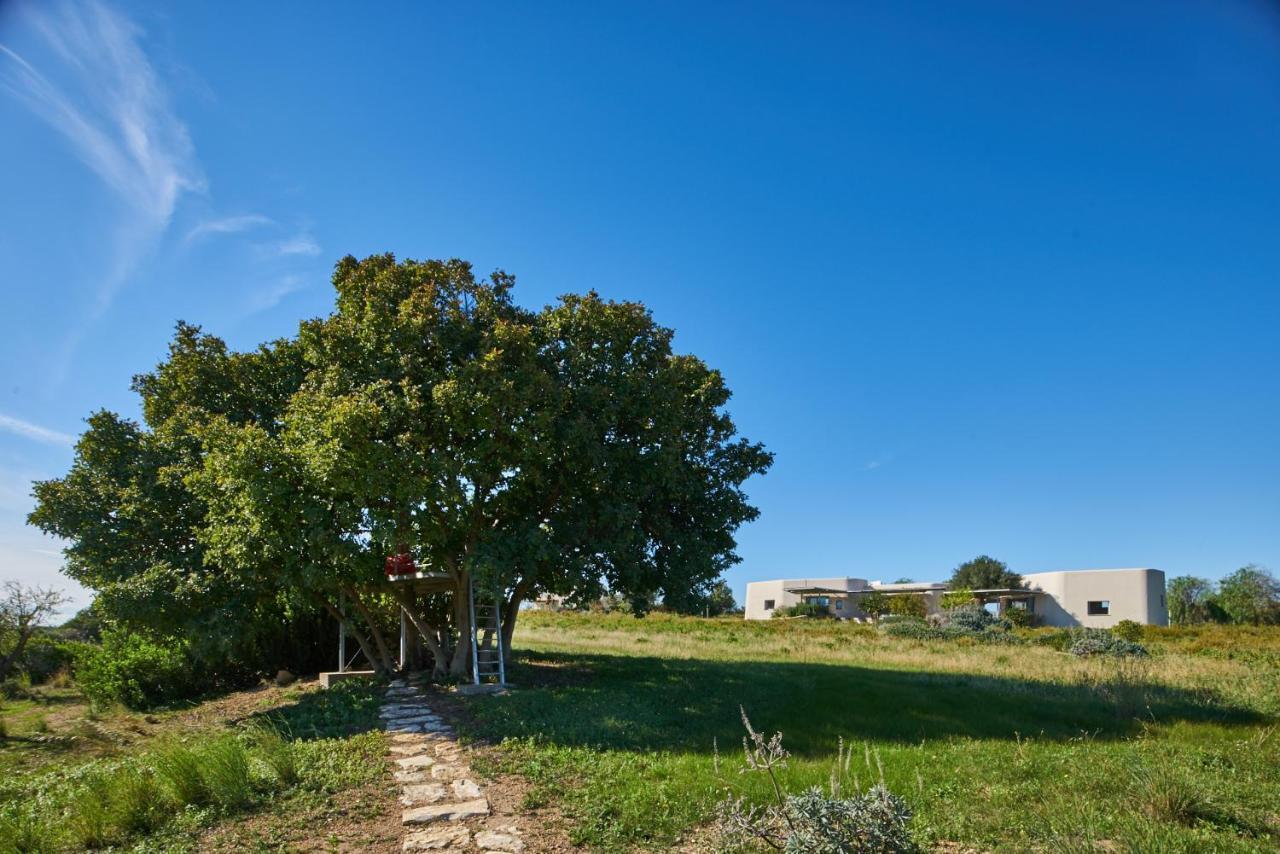 Villa Vendicari Casa Maccari Esterno foto